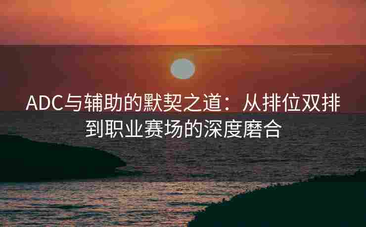 ADC与辅助的默契之道：从排位双排到职业赛场的深度磨合
